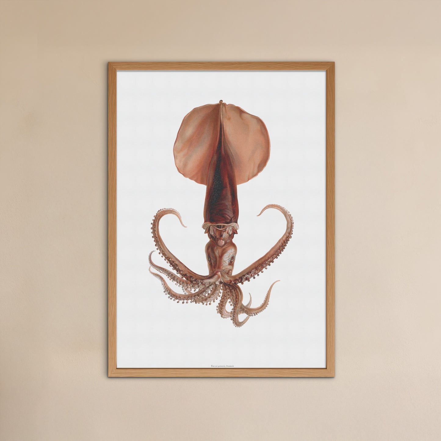 Vintage Blæksprutte Plakat - Tiarmet blæksprutte (1920) | Maritim Kunst