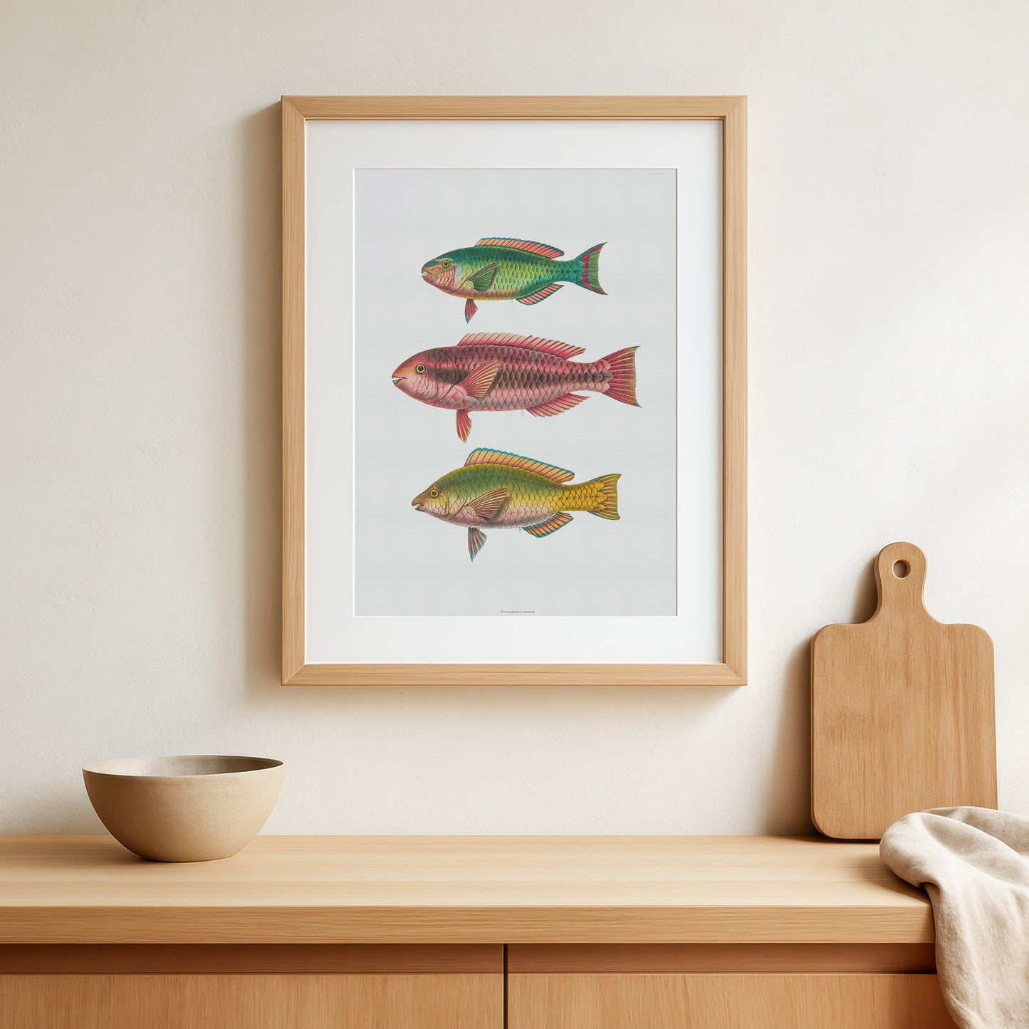 Zoologisk Plakat - Tropiske Papegøjefisk i Røde og Grønne Nuancer - Vintage Illustration (1862)