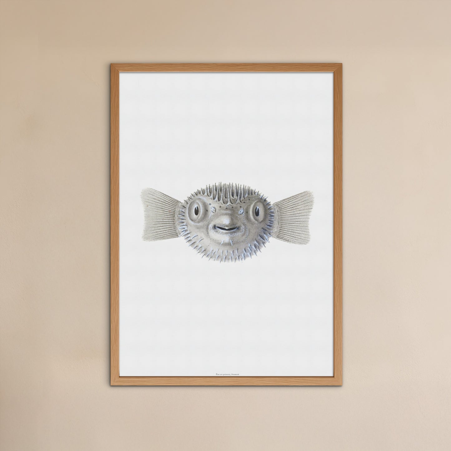 Zoologisk Plakat - Kuglefisk (Pufferfish) - Vintage Illustration fra 1838