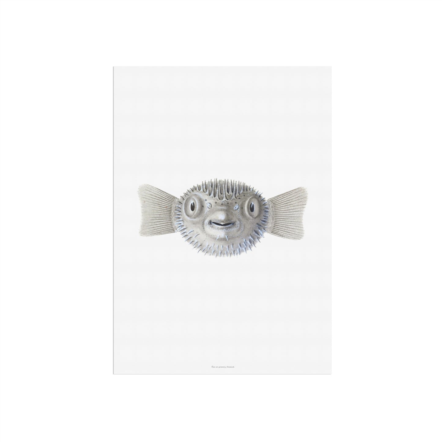 Zoologisk Plakat - Kuglefisk (Pufferfish) - Vintage Illustration fra 1838