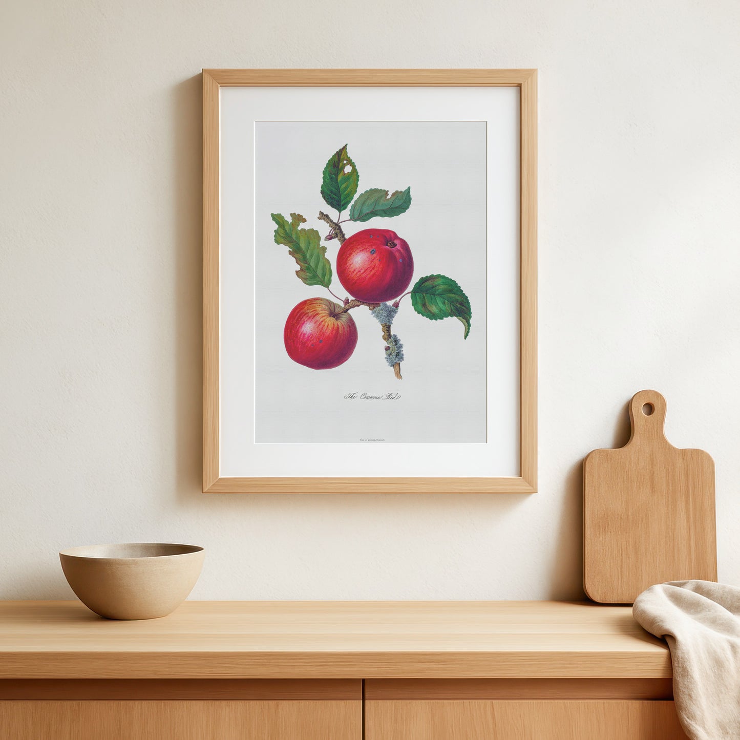 Botanisk Plakat - 'Cowarne Red' Æble - Vintage Illustration fra 1811