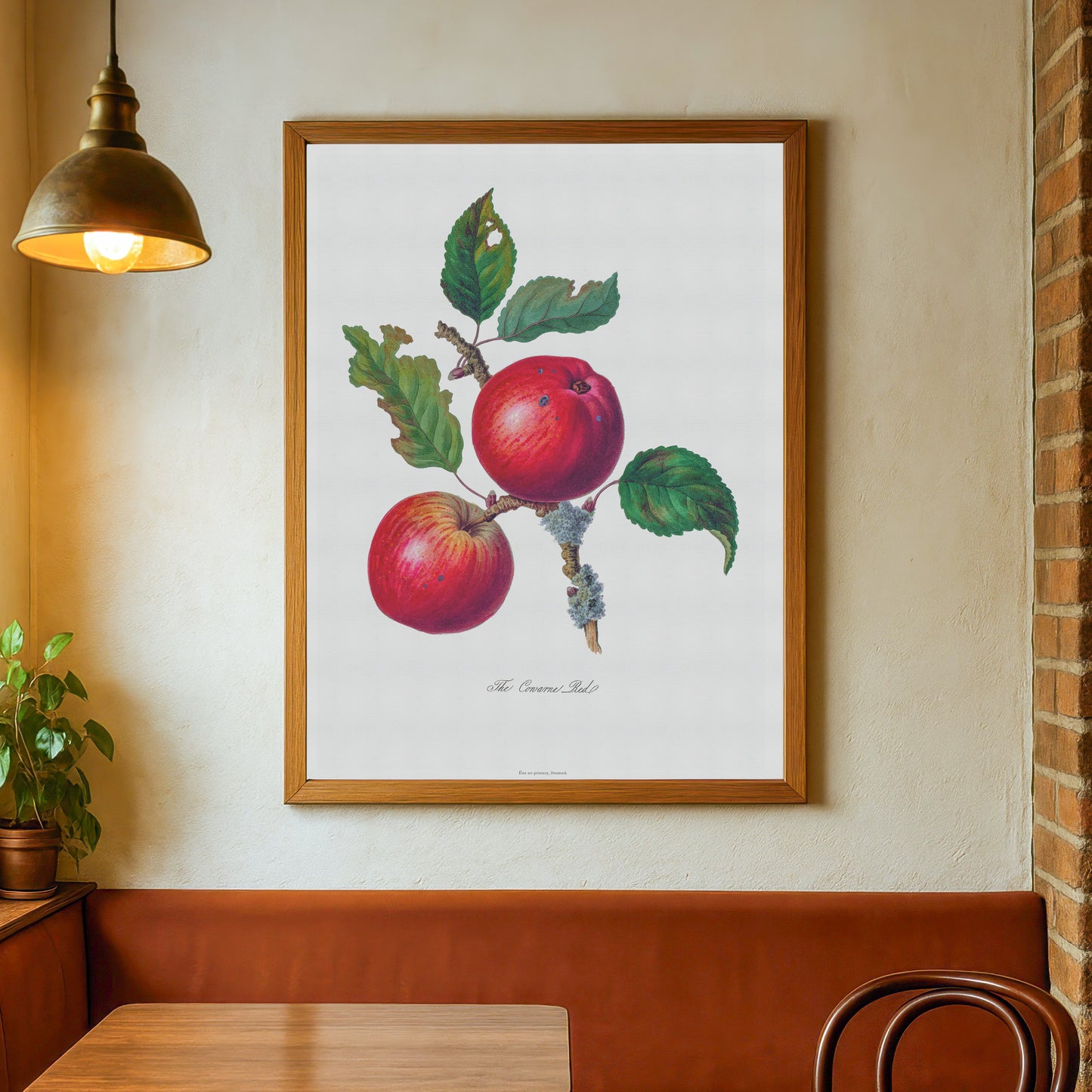 Botanisk Plakat - 'Cowarne Red' Æble - Vintage Illustration fra 1811